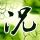 棒球